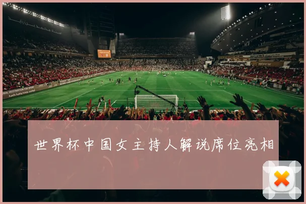 世界杯中国女主持人解说席位亮相