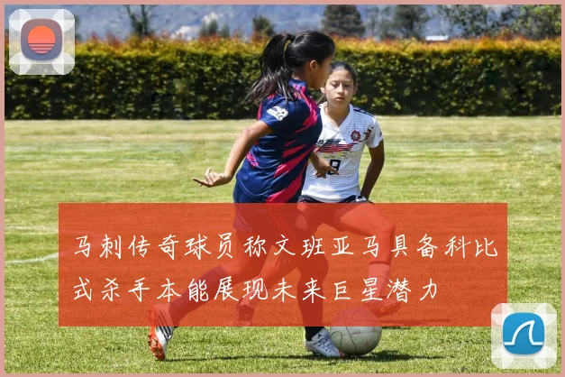 马刺传奇球员称文班亚马具备科比式杀手本能展现未来巨星潜力