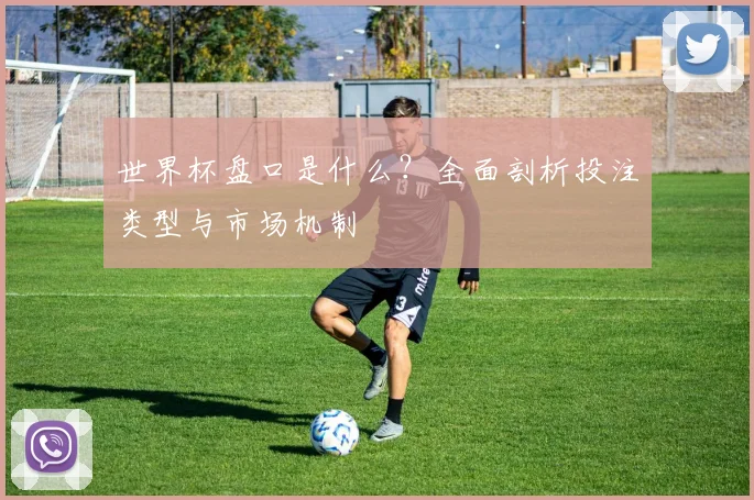 世界杯盘口是什么？全面剖析投注类型与市场机制