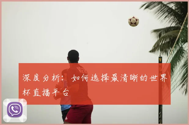 深度分析：如何选择最清晰的世界杯直播平台