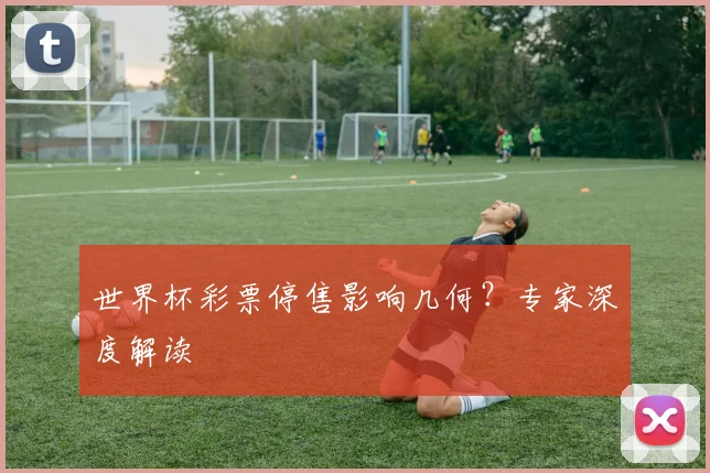 世界杯彩票停售影响几何？专家深度解读