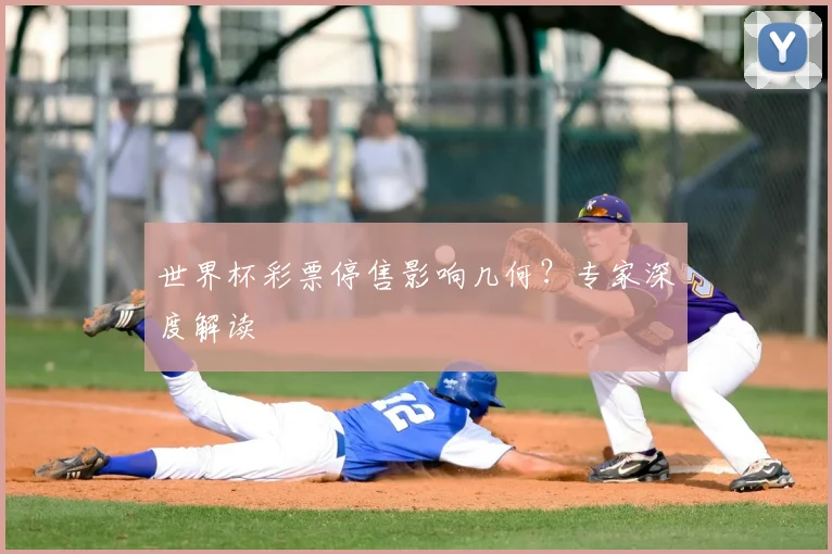 世界杯彩票停售影响几何？专家深度解读