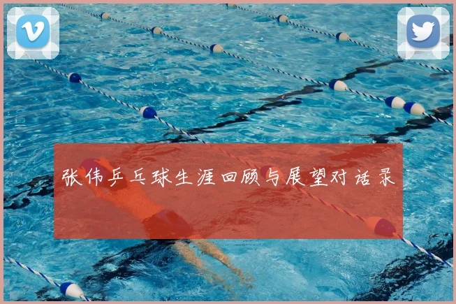 张伟乒乓球生涯回顾与展望对话录