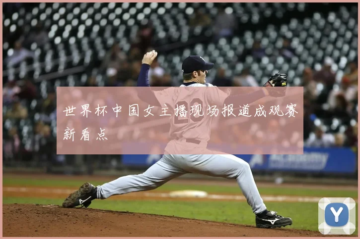 世界杯中国女主播现场报道成观赛新看点