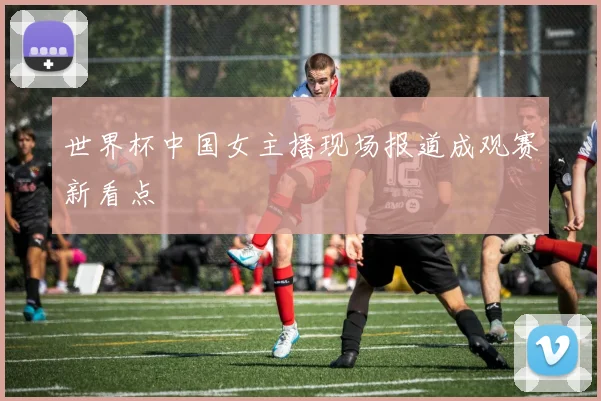 世界杯中国女主播现场报道成观赛新看点
