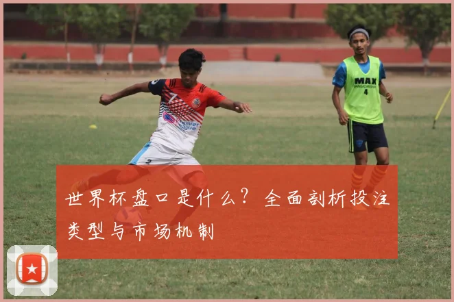 世界杯盘口是什么？全面剖析投注类型与市场机制