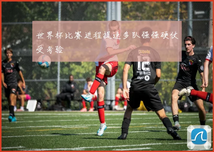 世界杯比赛进程提速多队强强硬仗受考验