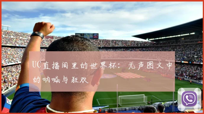 UC直播间里的世界杯：无声图文中的呐喊与狂欢