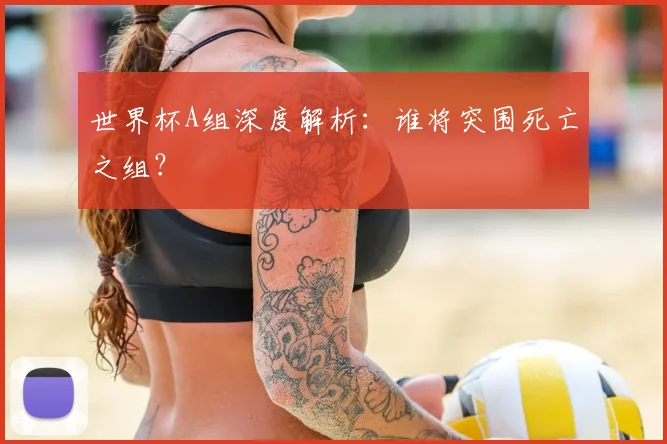 世界杯A组深度解析:谁将突围死亡之组?